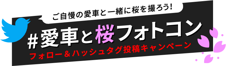 ご自慢の愛車と一緒に桜を撮ろう! #愛車と桜フォトコン フォロー&ハッシュタグ投稿キャンペーン