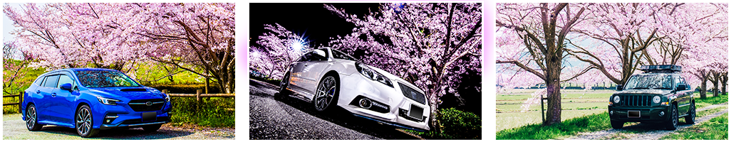 愛車と桜の写真イメージ