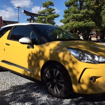 CITROEN シトロエンDS3 SISAL イエロー／ブラック