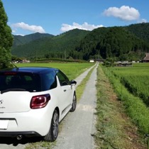 CITROEN シトロエンＤＳ3 SISAL グリーン／ブラック