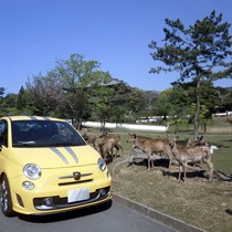 FIAT アバルト695トリブート・フェラーリ SISAL イエロー／ブラック