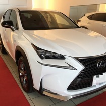 LEXUS レクサス　NX Fスポーツ KRONE ツイードボルドー