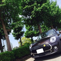 BMW MINICOOPER F56 SISAL ライム／ブラック