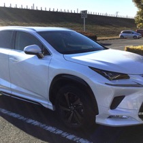 LEXUS レクサスNX KRONE ツイードボルドー