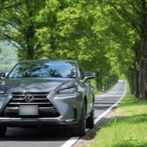 LEXUS Lexus SISAL シルバー／ブラック