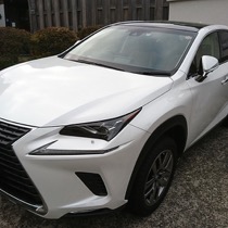 LEXUS レクサスNX KRONE ツイードボルドー