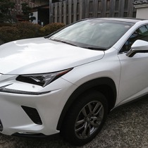 LEXUS レクサスNX KRONE ツイードボルドー