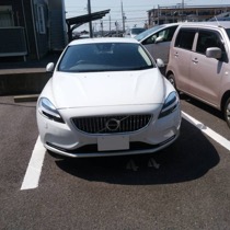 VOLVO VOLVO FLAXY ブリリアントレッド