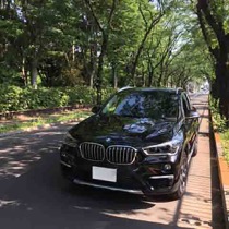 BMW BMW X1 SISAL ライム／ブラック