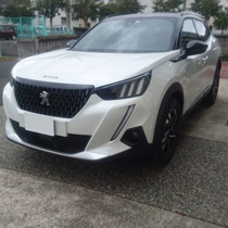 KARO装着事例 FLAXY PEUGEOT ２００８