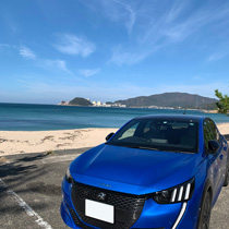 KARO装着事例 SISAL PEUGEOT ２０８