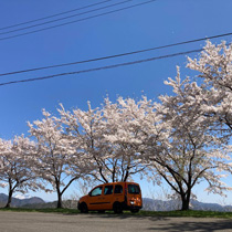 KARO装着事例 SISAL RENAULT カングー