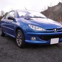 KARO装着事例 FLAXY PEUGEOT 206CC